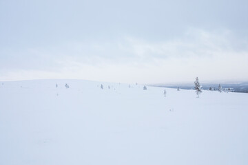 Winter landscape in Pallas Yllastunturi National Park, Lapland, Finland