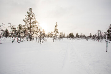 Winter landscape in Pallas Yllastunturi National Park, Lapland, Finland
