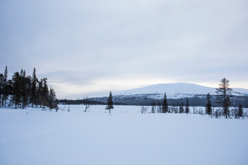 Winter landscape in Pallas Yllastunturi National Park, Lapland, Finland