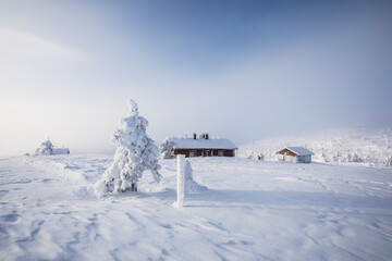 Ski expedition in Pallas Yllastunturi National Park , Lapland, Finland
