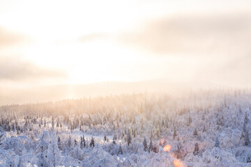 Winter landscape in Pallas Yllastunturi National Park, Lapland, Finland