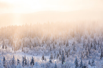 Winter landscape in Pallas Yllastunturi National Park, Lapland, Finland