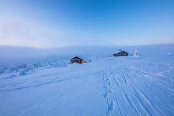 Ski expedition in Pallas Yllastunturi National Park , Lapland, Finland