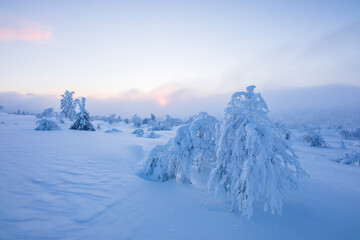 Winter landscape in Pallas Yllastunturi National Park, Lapland, Finland