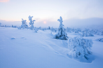 Winter landscape in Pallas Yllastunturi National Park, Lapland, Finland
