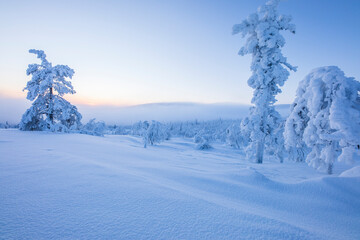 Winter landscape in Pallas Yllastunturi National Park, Lapland, Finland