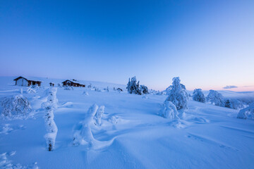 Ski expedition in Pallas Yllastunturi National Park , Lapland, Finland