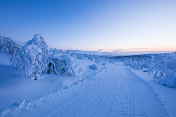 Winter landscape in Pallas Yllastunturi National Park, Lapland, Finland
