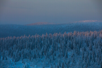 Winter sunrise in Pallas Yllastunturi National Park, Lapland, Finland