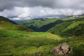 Beautiful summer in mountains. Caucasus wilderness