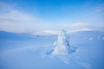 Winter landscape in Pallas Yllastunturi National Park, Lapland, Finland