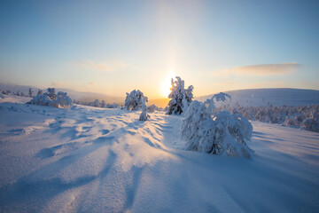 Winter sunset in Pallas Yllastunturi National Park, Lapland, Finland