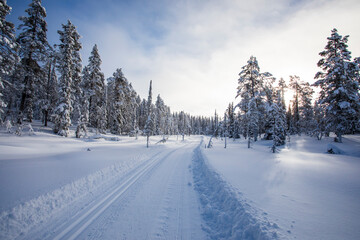 Winter landscape in Pallas Yllastunturi National Park, Lapland, Finland