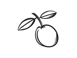 Bright Loquat Yellow Fruit Clean Line Art Icon