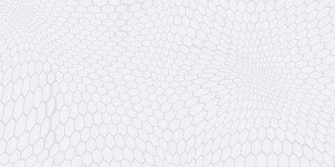 White hexagons geometric background, minimal honeycomb pattern wallpaper, 3d render illustration
