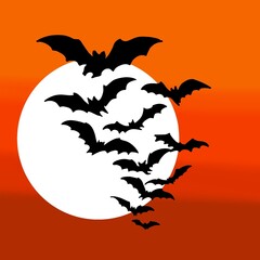 vector illustration of a flying bat