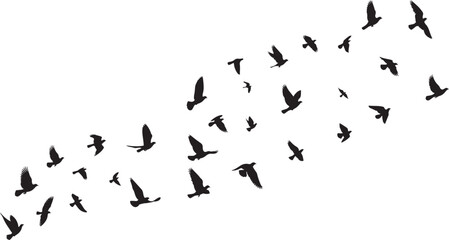 Flying Birds Silhouettes Vector – Isolated Bird Illustration for Tattoo and Design on White Background