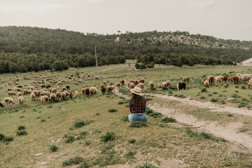 A woman sits in a field with a herd of sheep