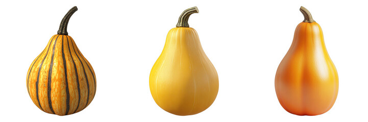 Set of butternut squash isolated on transparent background