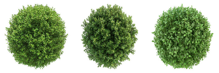 Set of bush isolated on transparent background