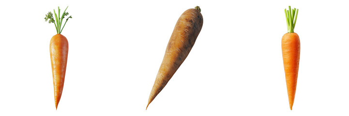 Set of carrot isolated on transparent background