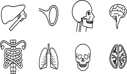 Editable Vector Icons of Body Organs