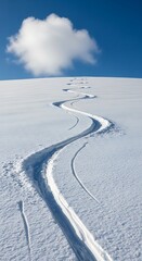 Obraz premium Fresh ski tracks carve a winding path down a pristine snow covered slope under a blue sky