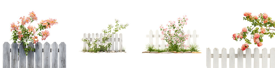 White Fence with Flowering Bushes Collection: Garden Landscape