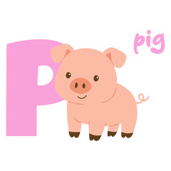 Cute pig with letter P for kids alphabet. Cartoon pig animal and pink letter illustration. Alphabet flashcard with pig.