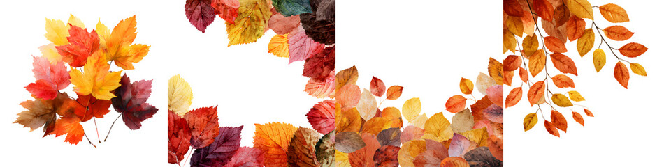 Collection of Colorful Autumn Leaves Isolated on White