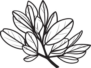Detailed Xylosma Botanical Icon in 2D Vector Illustration