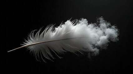 Obraz premium Elegant White Feather with Ethereal Smoke Effect on Black Background