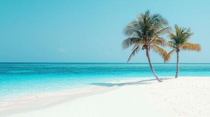 Obraz premium Serene Tropical Island with Palm Trees and Crystal Clear Water under a Bright Blue Sky