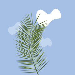 Vector illustration - palm branch against the sky.