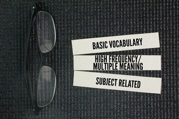 What are the three vocabulary words? Basic Vocabulary, High Frequency or Multiple Meaning, and...