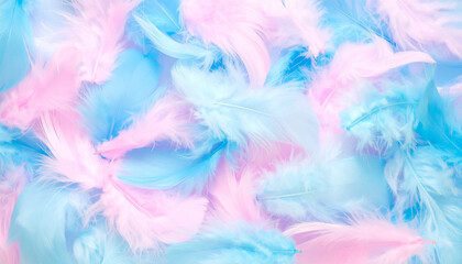 Feather background image