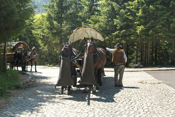 Work of Tatra highlanders, Morskie Oko. Horse-drawn transport of tourists.  © Blaszko