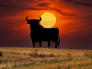 Osborne bull in the province of Cuenca (Spain)