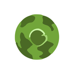 Simple illustration of a green brussels sprout, showing its layered structure and color variations.