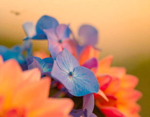 An ultra-detailed extreme close-up of a rose with surrounding flowers, captured in soft light. A cinematic and emotional scene perfect for visual storytelling, branding, and artistic use.