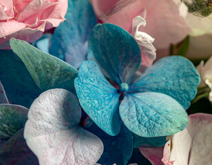 An ultra-detailed extreme close-up of a rose with surrounding flowers, captured in soft light. A cinematic and emotional scene perfect for visual storytelling, branding, and artistic use.