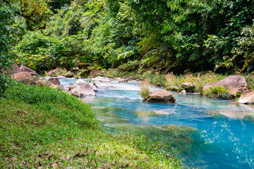 Obraz premium Blue river in rainforest