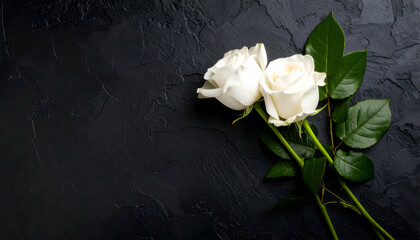 Two Elegant Fresh White Roses on Dark Textured Black Background Flat Lay Floral Design
