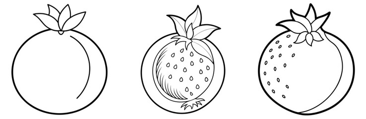 Pomegranate Coloring Book Page - Outline Design