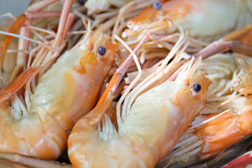 Cooked steamed shrimp