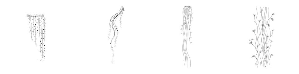 Simple Art Botanical Vines - Black and White Illustrations