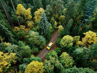 Vibrant autumn forest with winding path and bright yellow car. Drone view.