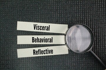 What is the emotional three level theory? visceral, behavioral, and reflective. Don Norman proposes...