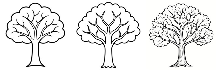Obraz premium Tree Without Leaves Outline - Coloring Book Page Vector Design