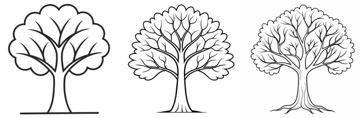 Obraz premium Tree Without Leaves Outline - Coloring Book Page Vector Design